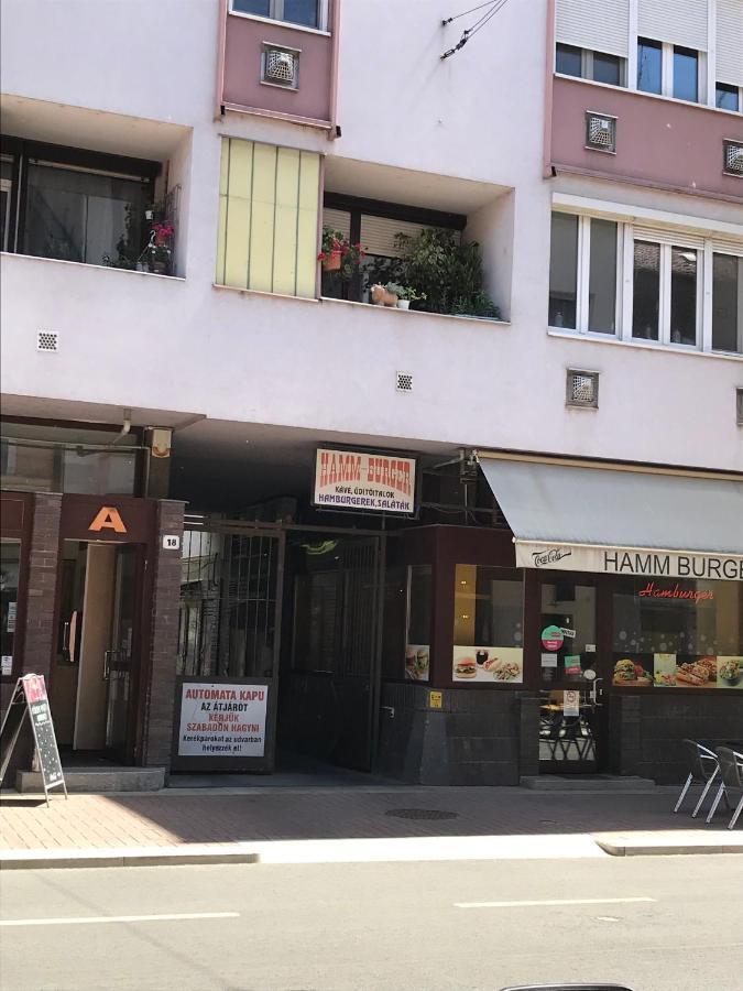 דירות סגד Dom Square-Centrum-Free Parking מראה חיצוני תמונה